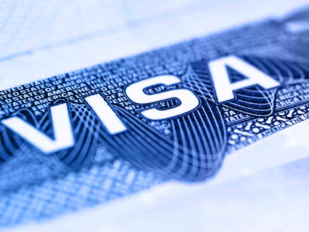 Immigration & Visa Services Sector